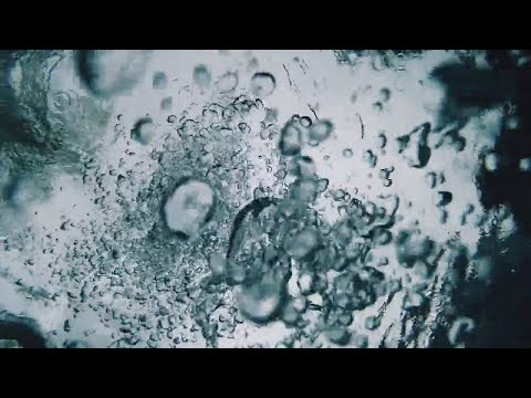 There's Something in the Water...