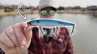 Bass Fishing for Big Winter Bass in Texas Ponds! (Pre-Winter Storm of 2026)