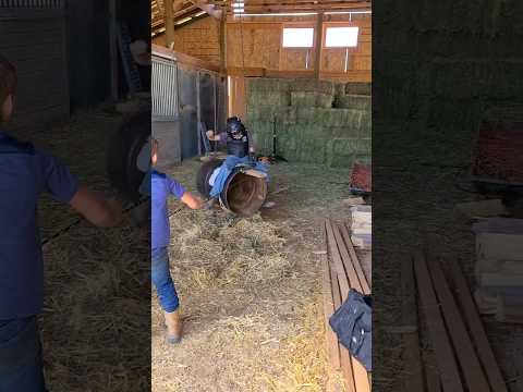 little cowboys practice BULL riding Wyoming     #shorts #bullriding #rodeo #cowboys