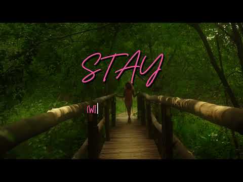 TheLastLetter - Stay (with Paintafresco) Visualizer