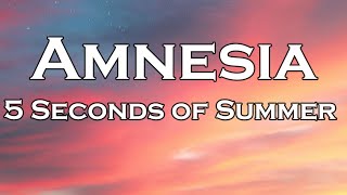 5 Seconds of Summer - Amnesia (Lyrics)