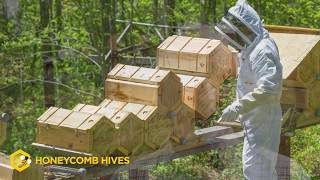 Beekeeping Reimagined  Honeycomb Hives  Fold Hives