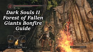 Forest of Fallen Giants - All Bonfire Locations | Dark Souls II