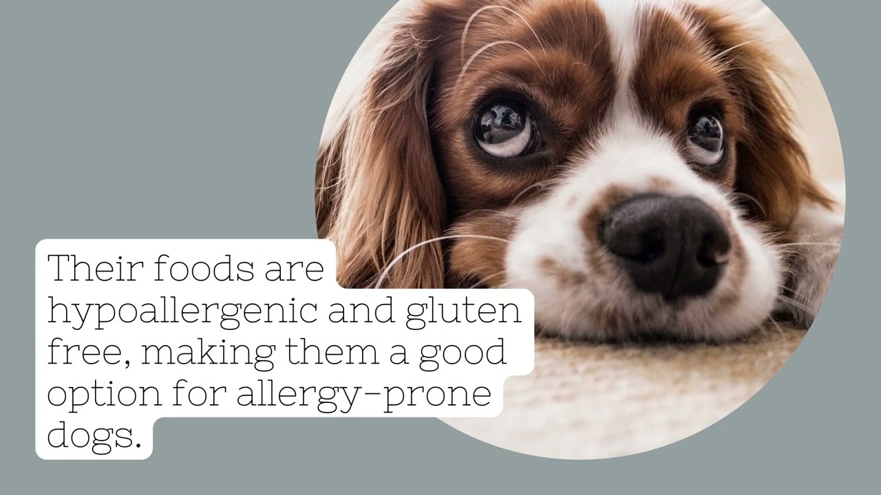 Watch video Meals for Mutts Review MFM Australian dog food & cat food Now Meals for Mutts Review MFM Australian dog food & cat food