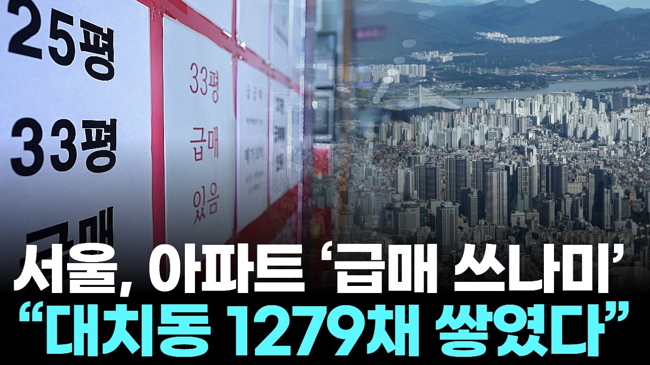 서울, 아파트 ‘급매 쓰나미’…“대치동 1279채 쌓였다”