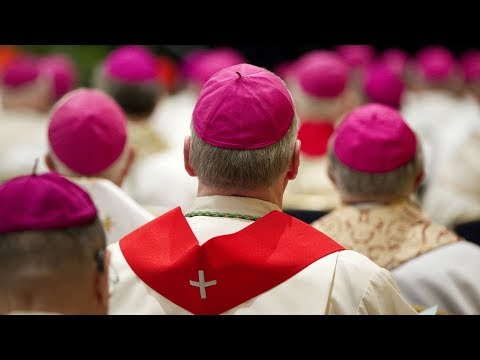 Click to Watch the Letter of His Holiness Pope Francis To the People of God video