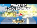 [AOPG] Awakened Conquerors Haki Full Showcase and How To Get! A One Piece Game | Roblox