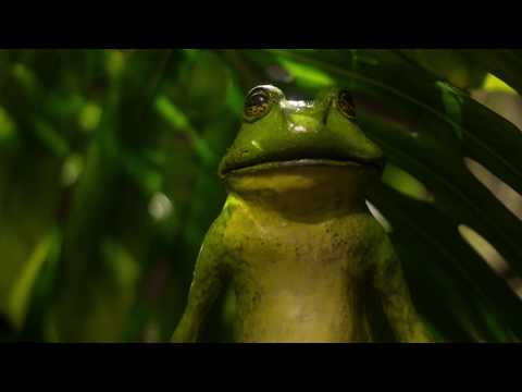 Sébastien Pruneta - Demo reel - voice over - fictional characters - July 2017