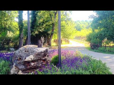 Agriturismo La Noce di Creta