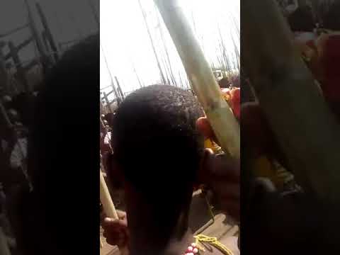 2017 reed dance izintombi zakwamashu