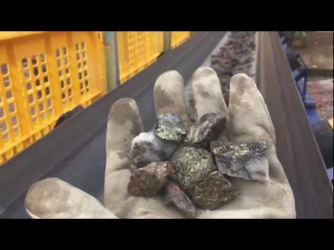 Comex X-ray sorting unit CXR-1000 for enrichment of gold ore at Palito mine in Brasil