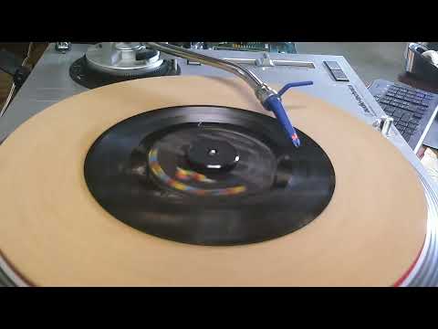 You Are My Sunshine l Ray Charles l 1962 l Scratchy