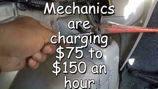 Ford Focus 2008 rear shock replacement under $40