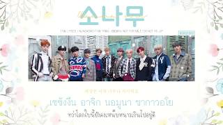 [Thaisub] Wanna One (워너원) - 소나무 (PINE TREE) | Nungxoxo