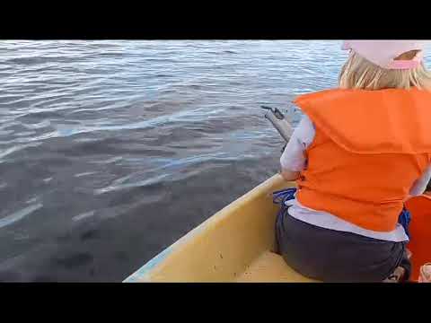 Lasten kanssa kalassa... Kestääkö siima? 😱😱