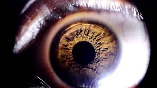 We are the light - Ivo Grīsniņš Grīslis #ltvsupernova #Eurovision2016