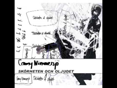 Conny Nimmersjö - Fåglar