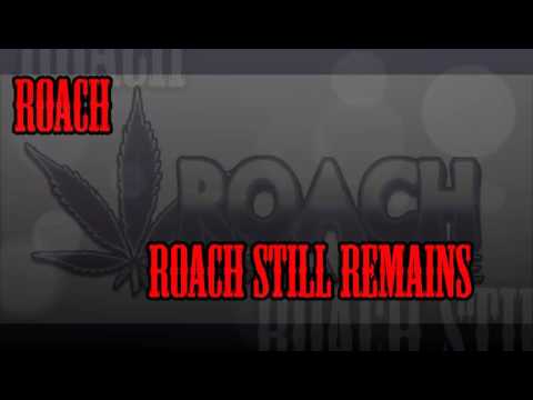 Roach - Roach Still Remains