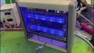 How to Choose the Right Insect Killer