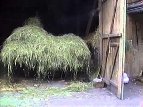 Familia si Vecinii - Badeuti 1991 #2