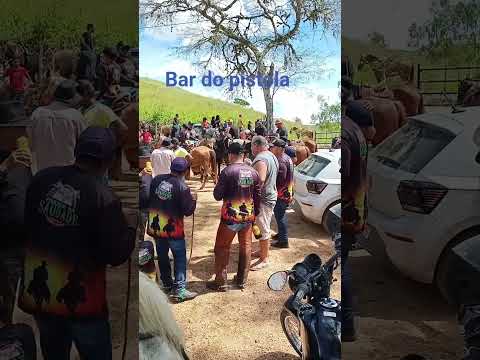 #nordeste #cavalo são Benedito do Sul Pernambuco