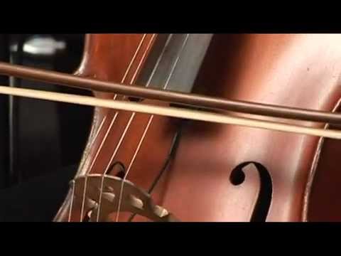 Perturbazione - Del nostro tempo rubato