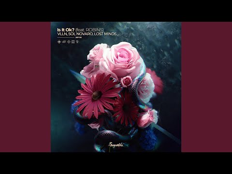 Is It Ok? (Extended Mix)