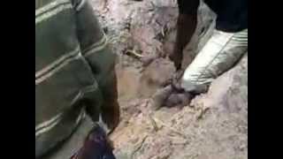 Nigerian Girl Raped & Buried Alive by Gang