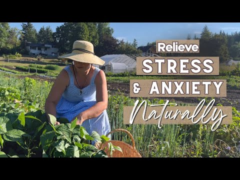 15 Healthy Habits for a Calm & Peaceful Life