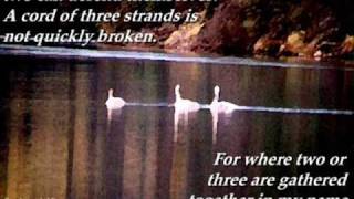 Natalie Grant - Perfect People