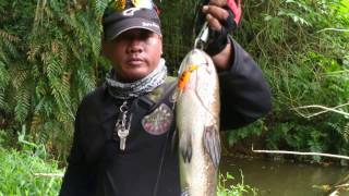Download lagu Pancing Haruan / Haruan Fishing. mp3