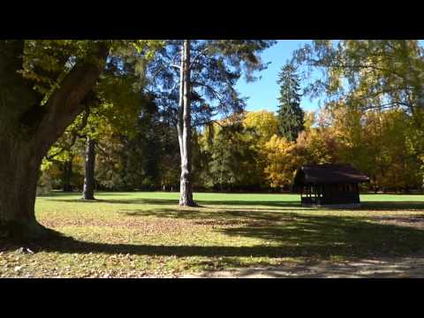 Zvuky datlů v zámeckém parku Lány (24.10.2015)