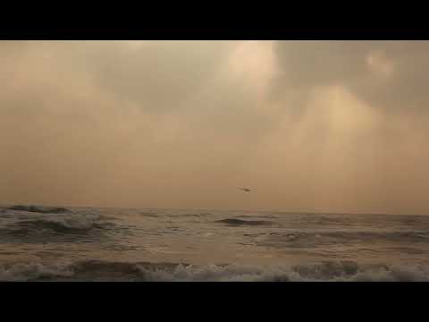 Low Flying Helicopter in Beach Free Footage #footagebucket #freestockvideo #helicopter