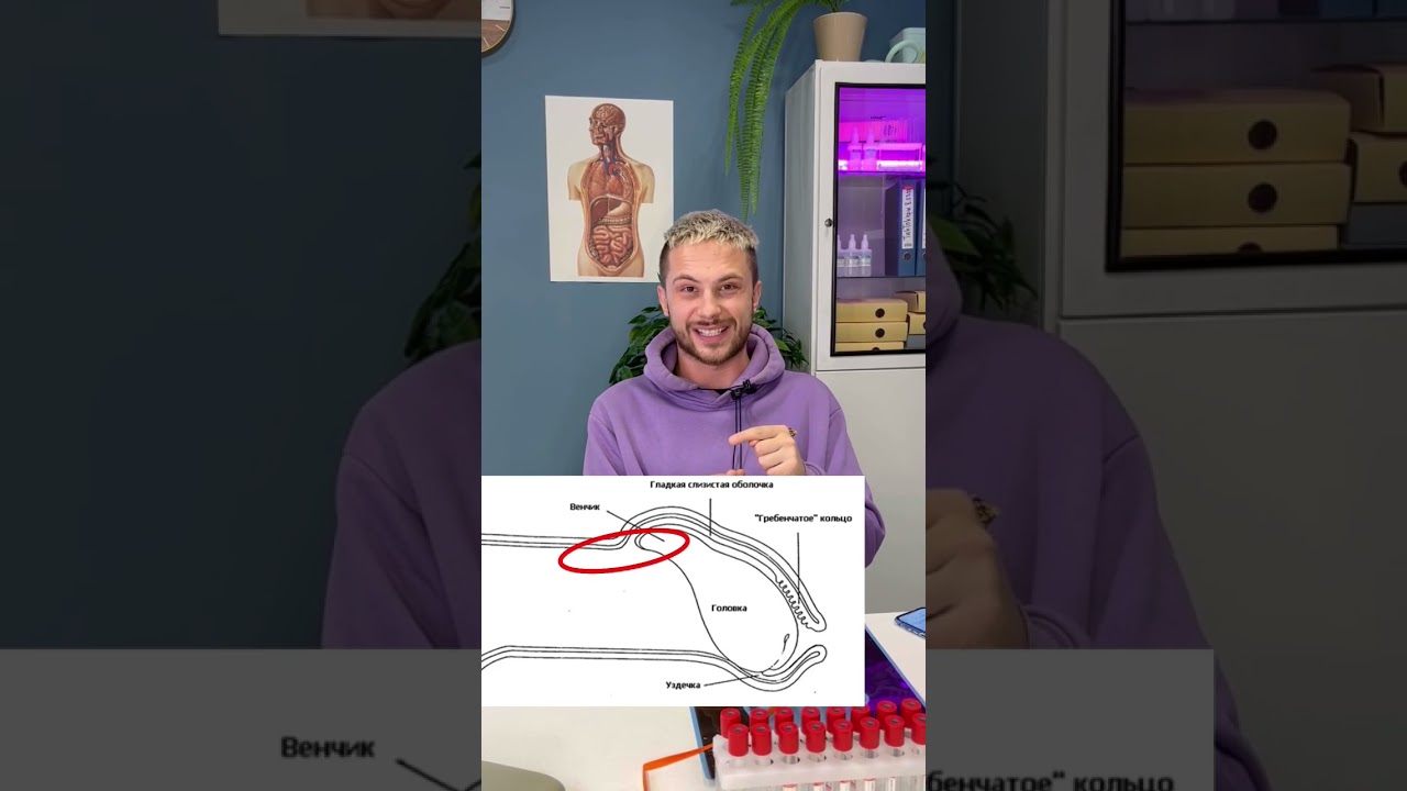 Спайка мешает открыть головку #shorts #vtrepal #половоевоспитание