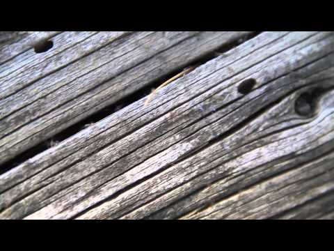 3COMA14 - Mi verdad (Prod. Loren D) video clip