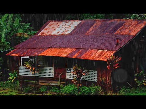 Sonido de Lluvia y Truenos en Casita de Campo - Lluvia Relajante para Dormir en 11 Minutos