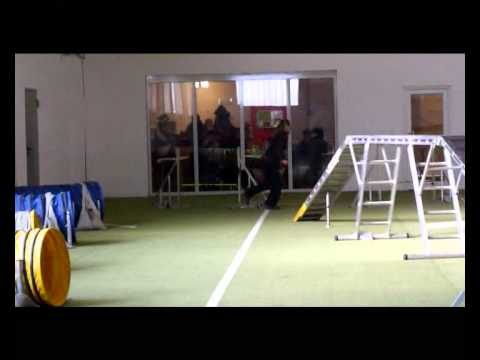 EK4 27 02 2011 1  Lauf Havanna