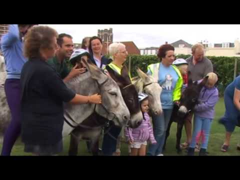 Donkey Rides, Bognor Regis - Cycle Writer Story 71/99
