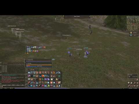 Lineage 2 Classic NA Giran Server Necromancer xping at 66 lvl
