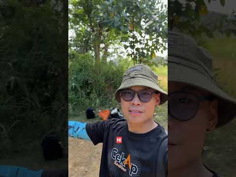 Bukit Perangin untuk Untuk Dijual - RM 550,000, Feb 2026 - PropertyGuru.com.my