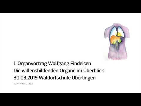 Wolfgang Findeisen - Organvortrag über die willensbildenden Organe im Überblick