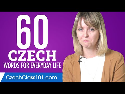 60 Czech Words for Everyday Life - Basic Vocabulary #3