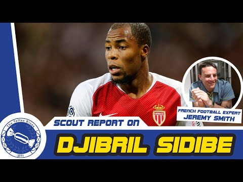 Scout Report On - Djibril Sidibe