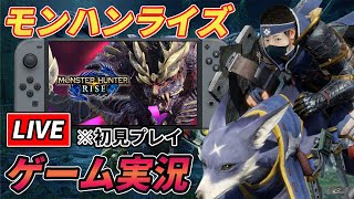 【モンハンライズ】初見プレイやから練習する【ハンマー使い】