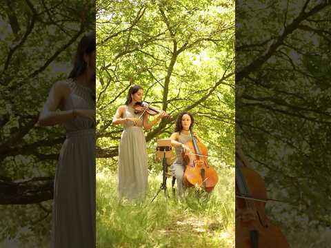 ‘El Choclo’, a Tango - Angel Villoldo. #tango #violin #cello #classicalmusic #music #bridgerton