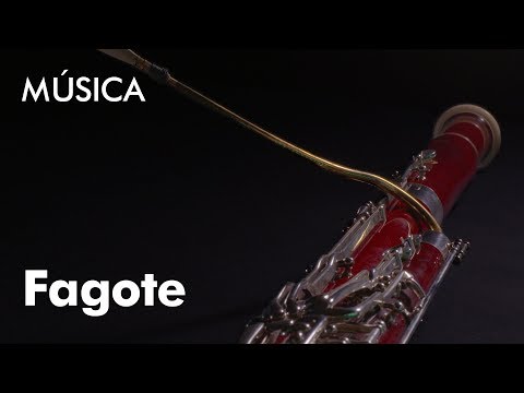 Conhecer um Instrumento: O Fagote