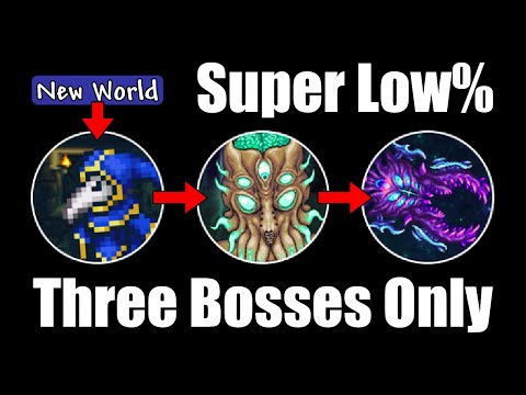 How I Killed Infernum DoG as the THIRD BOSS | Ultra Low% Calamity