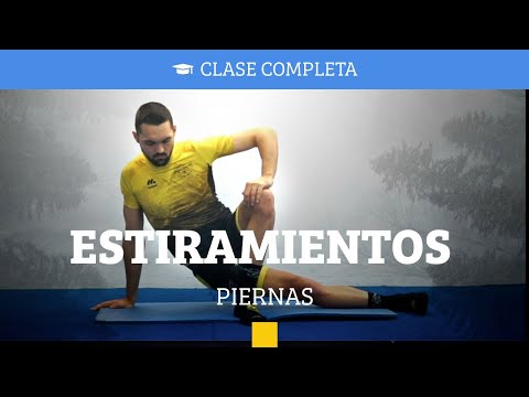 10-Minute Leg Stretching Routine (Improve Your Flexibility)