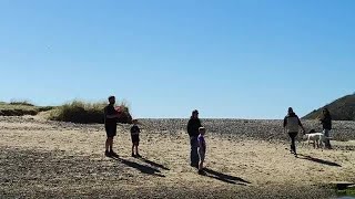 The Gower Guided Tour - Mumbles, Three Cliffs And Worms Head - 1304