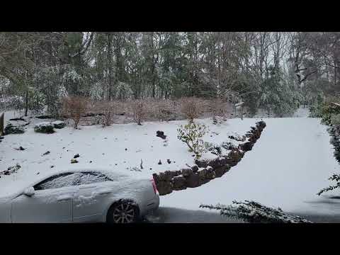 Big Canoe Snow Compilation - 01/16/22 (4K)